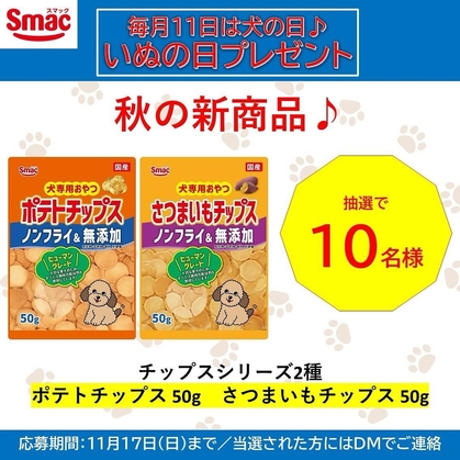 ペット用品 販売 キャンペーン